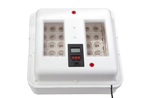 Little Giant® Digital Circulated Air Incubator with Automatic Turner | 41 Egg Capacity | Chick Egg Hatching Incubator with Fan and Egg Turner | Made in USA - style: Incubator with Fan and Egg Turner