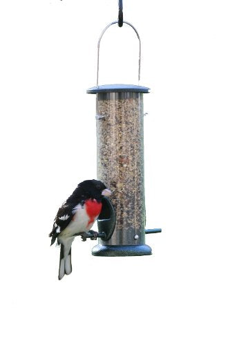 Birds Choice Tube Bird Feeder | 2 Ports, 2 Cup Capacity | Small, Green | Hanging Seed Feeder Sized for Small Spaces, Simple to Fill and Clean, Suits Finches and Chickadees