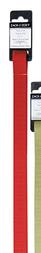 Zack & Zoey Basic Nylon Dog Leash, 4-Feet x 5/8-Inch Lead, Tomato Red - color: Tomato Red, size: 4-Feet x 5/8-Inch Lead