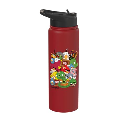 Angry Birds Piggy & Bird Pile Stainless Steel Insulated Water Bottle - color: Red
