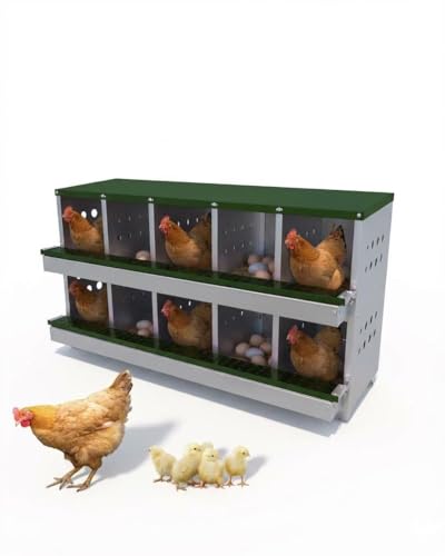 Chicken Nesting Box for Laying Eggs, 10-Compartment Galvanized Steel Nesting Boxes for Hens, Front Access Egg Tray, Easy Wall Mount Design, Includes 10 Training Eggs - color: Green