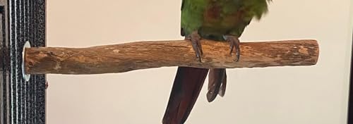 Polly's Single Bolt Hardwood Cage Perches Made in USA for Budgies, Parakeets, Cockatiels, Greys, Amazons, Blue & Gold Macaws, Cockatoos, Green Wing Macaws & Hyacinths. (Small) - size: Small