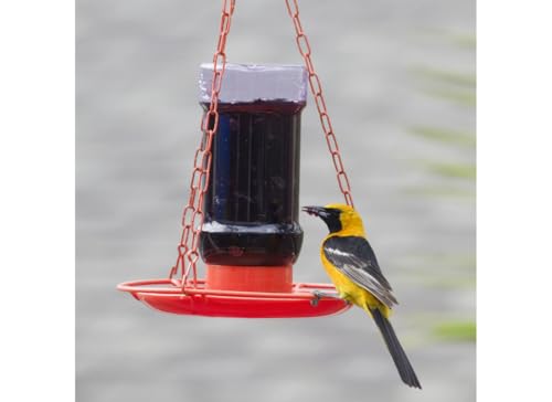 Perky Pet Jelly Feeder Oriole 32 Oz