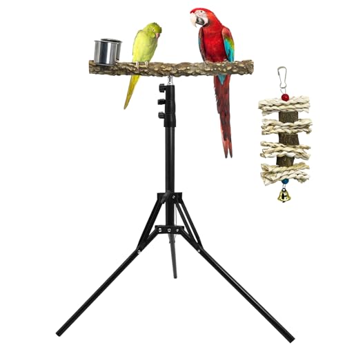 kathson 28-60inches Height Adjustable Bird Perch, Pepperwood Parrot Perch Stand with Feeding Cup, Multi-Purpose Bird Perches for Indoor and Outdoor Use, Designed for Small Medium Birds (3 PCS) - size: Bird Perch with Feeding Cup and Toy (3 Pieces)