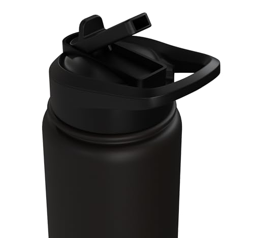 Bird Definition - Funny Sarcastic Bird Explanation Stainless Steel Insulated Water Bottle - color: Black