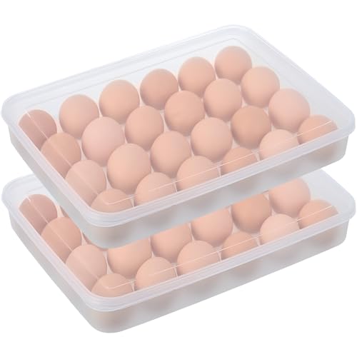 Deviled Egg Containers with Lid, (Set of 2),Stackable Plastic Egg Holder for 48 Eggs,Clear Egg Storage Holder for Fridge,Keep Fresh,Easter,Thanksgiving Party Kitchen Supplies - size: 48 Eggs