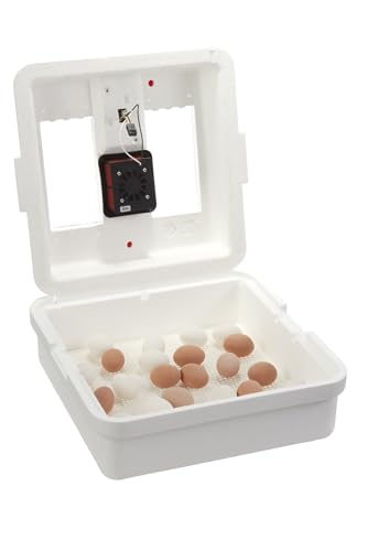 Little Giant® Digital Still Air Incubator | 41 Egg Capacity | Chick Egg Hatching Incubator with Temperature and Humidity Control | Made in USA - style: Still Air Incubator