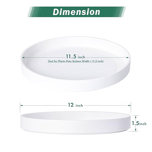 Phoenix Vine 12 Inch Plastic Plant Saucer Water Drip Tray, Heavy Sturdy Round Plant Drainage Tray for Indoors Outdoor, Matte White, 21-TY-12W-1 - size: 12"