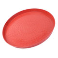 Angoily 2pcs Chick Appetizer Plate Chicken Feeder Plastic Trays Chick Feed Freeze Proof Chicken Waterer Goose Waterer Plastic Hen Feed Tray Fodder Plate Fodder Trays Poultry Feeder Red