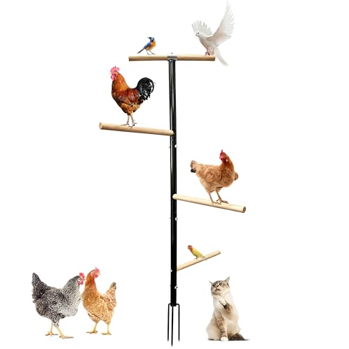 Large Chicken Perch Toys for Coop,Wooden Chicken Roosting Bars with 3 Legs Metal Ground Plug,1.25-Inch Thickened Steel Pipe, Improved and Upgraded Design of Wooden Pole Embedded in The Steel Pipe