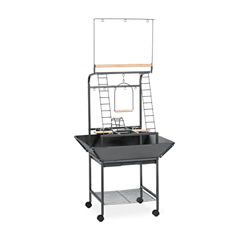 Prevue Pet Products Small Parrot Playstand with Wheels, Bird Stand Activity Play Center with Perches and Ladders, Indoor Outdoor Playground for Birds with Swing, Black Hammertone Finish - size: Small