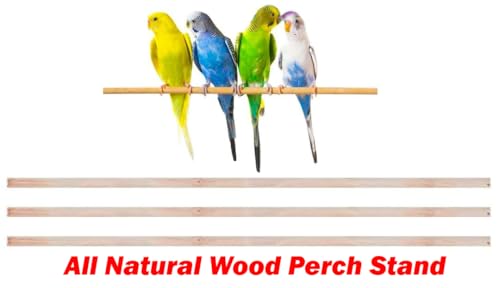 63" Roof Top Bird Flight Parrot Pet House Home Cage with Removable Rolling Stand for Cockatiel Sun Conure Parakeet Finch Budgie Lovebird Canary