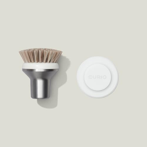 Ionic Palm Brush, Magnetized to Stand Upright, Stainless Steel with Replaceable Head, Silver