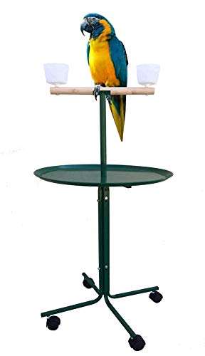 Large 23" Play T-Stand Perch Metal Base Parrot Bird Cage Amazon African Grey Macaw Cockatoo (23", Green) - color: Green