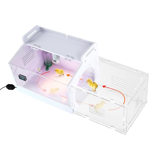 Iarge Scale Chick brooder Box Quail cage Egg Incubator Chicken brooder 20 | Chick Starter Kit Baby Chicken Cage Take 2 Heat lamp 2 Chick feeder and waterer kit White 27. 5 in