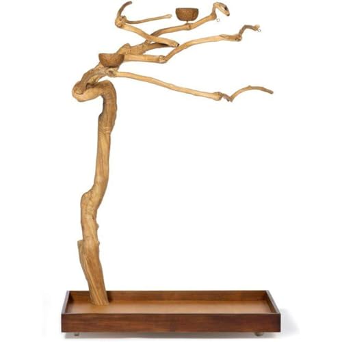 HomeStock Asian Fusion CoffeeWood Tree-Style Parrot Play Stand with Natural Design, Durable Perches, Feeding Bowls, and Spacious Activity Area for Birds Medium - size: Medium