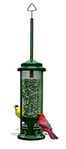 Squirrel Buster Legacy Squirrel-Proof Bird Feeder for Wild Birds – 4 Metal Removable Perches, 2.6 lb Seed Capacity, Chew-Proof Design, Easy to Clean, Green | Four removable metal perches, chew-proof construction, tool-free cleaning - size: 1 Pack