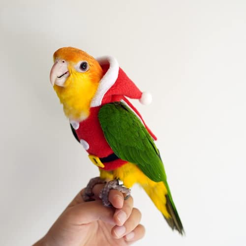 Bird Clothes Birds Flight Suit, Christmas Hoodie for Parrots Cockatiel Sun Conure Christmas Party Cosplay Photo Prop Bird Shirt Small Animals Apparel (Without Diaper,Blue Quaker) - size: Blue Quaker