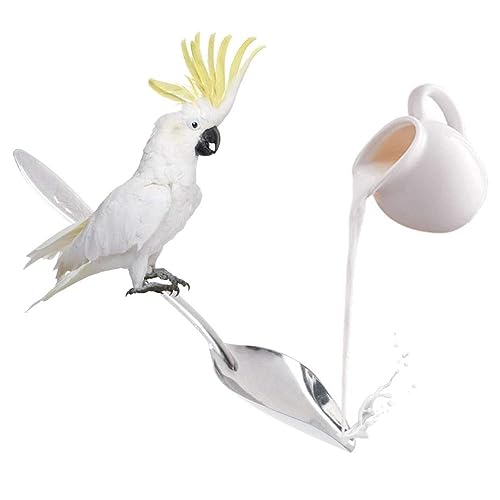 6 Pcs Stainless Steel Bird Feeding Spoon - Narrow Tip for Baby Birds Young Pet Birds, Parrot Milk Spoon Fit Finch Canary Cockatiel Hand Feeding,Spoons for Feeding Nestlings/Hatchlings