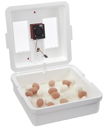 Little Giant® UL Circulated Air Incubator | Fits 41 Large Eggs | Chick Egg Hatching Incubator with Fan and Temperature and Humidity Control | Made in USA - style: UL Listed Incubator with Fan