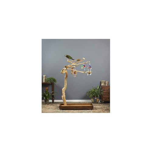 HomeStock Asian Fusion CoffeeWood Tree-Style Parrot Play Stand with Natural Design, Durable Perches, Feeding Bowls, and Spacious Activity Area for Birds Medium - size: Medium