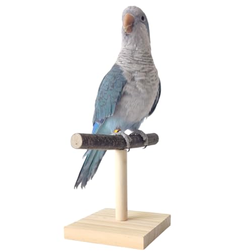Bird Perch Stand, Bird Training Portable Tabletop Platform, Parrot Cage Toy Gym Accessories for Parakeets Cockatiels, Conures, Macaws, Finches Lovebirds