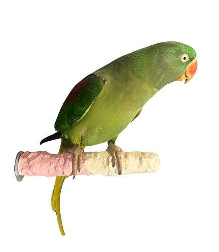 Polly's Edible Cuttlebone Calcium Bird Cage Perch for Budgies, Parakeets, Amazons, Blue & Golds, Macaws and Cockatoos.… (Strawberry, Medium) - color: Strawberry, size: Medium