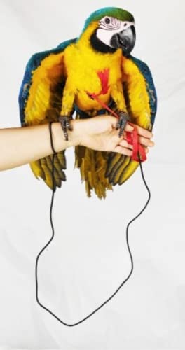 Adjustable Bird Harness with 78.7 Inch Leash, Outdoor Flying Training Rope Kit for Bird Parrots, Parrot Flying Rope Straps Outdoor Training Traction Rope for Small Medium Large Size Birds (XL) - size: XL