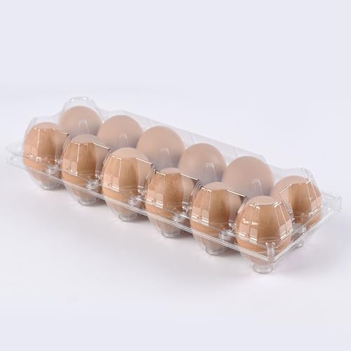 2 * 6 grid large plastic Egg Carton,fit into 2.5 oz of egg (120 pc) | (2*6)12 grid Reusable Eggs Carton，Disposable Large Clear Plastic Egg Carton,egg cartons cheap bulk，for Family, Farm, Markets - size: 2x6 12 egg boxes, 120 pieces
