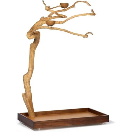 HomeStock Asian Fusion CoffeeWood Tree-Style Parrot Play Stand with Natural Design, Durable Perches, Feeding Bowls, and Spacious Activity Area for Birds Medium - size: Medium