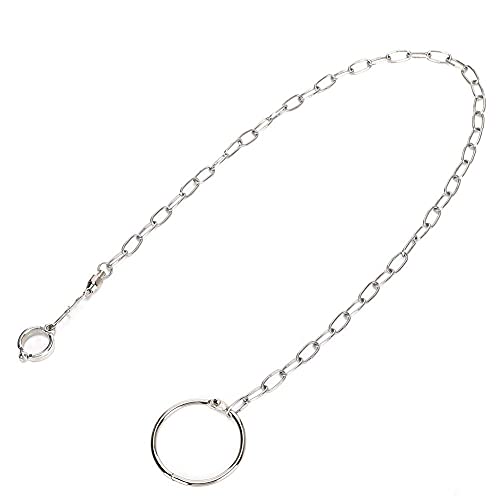 Bird Foot Chain, Pet Bird Leash Parrot Foot Chain Stainless Steel Anti bite Flying Training Anklet Ring Parrot Ankle Foot Ring Accessories