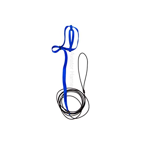 The AVIATOR Pet Bird Harness and Leash: Petite Blue - color: Blue, size: Petite