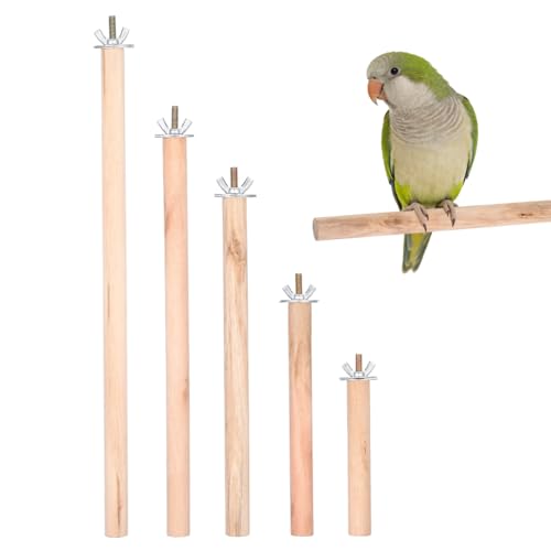 Kisangel Bird Cage Perches 5 Pack Natural Wood Parrot Perch Set with Built-in Bolts and Wing Nuts Claw Grinding Stand Toys for Parakeet Cockatiel Budgie Finch 11.81In Length