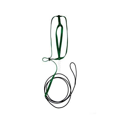 The AVIATOR Pet Bird Harness and Leash: X-Large Green - color: Green, size: X-Large