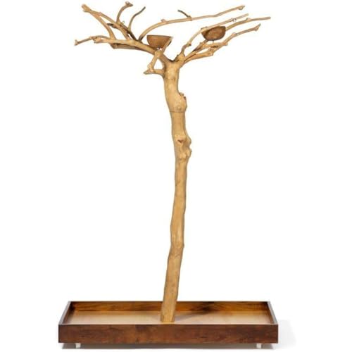 HomeStock Asian Fusion CoffeeWood Tree-Style Parrot Play Stand with Natural Design, Durable Perches, Feeding Bowls, and Spacious Activity Area for Birds Small - size: Small