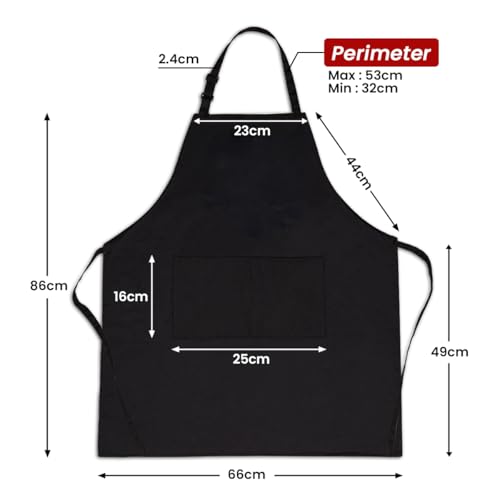 SANDJEST Funny Mens Aprons with Pockets for BBQ Grilling Cooking Grandpa Husband Apron for Birthday Christmas Father's Day - color: Dad 2