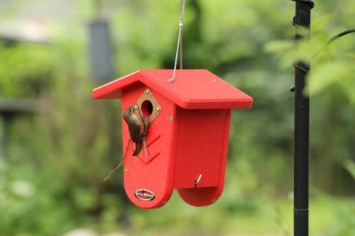 Recycled Moraine Bird House Nest Box for Wrens & Chickadees (Red/Red) - color: Red/Red