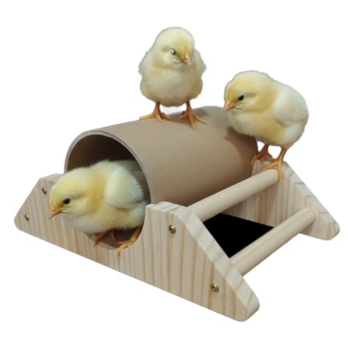 Baby Chick Perch & Tunnel Toy Set for Brooder, Chick Roosting Bar Training Toys, Chicken & Duckling Enrichment Playground, Anti-Boredom Coop Accessories for Baby Chicks Ducks Small Birds