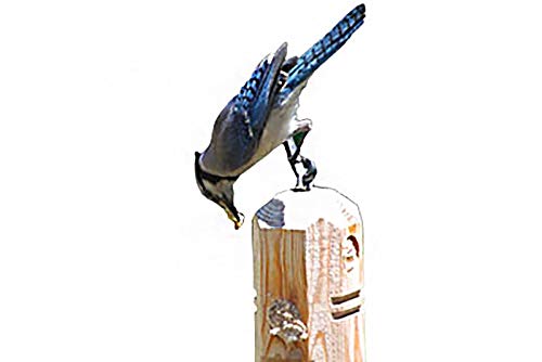 Suet Plus Plug Pine Feeder, Bevel Cut Post