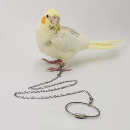 Bird Foot Chain Flying Stainless Steel Training Rope Outdoor Parrot Ankle Foot Ring Accessories Bird Harness Leash Prevent Escaping (Model5) - size: Model5