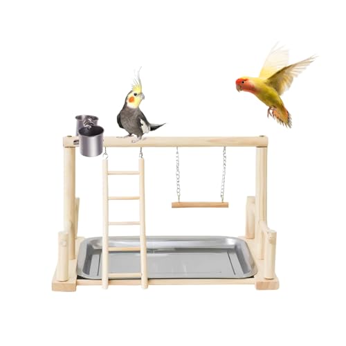 Bird Playground, Natural Wood Bird Perch Stand with Removable Tray and 2 Stainless Steel Feeder Cups, Parrot Playstand Bird Cage Toys for Conure Parakeet Cockatiel Parrot (B) - color: B