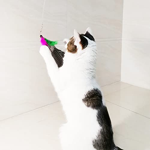 Cat Feather Toys Refills, 8 Pieces Natural Da Bird Feathers Refill, Cat Wand Replacement Feather for Indoor Cats (D) - color: D-8 PCS Feather Refills