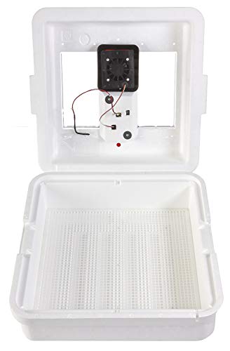 Little Giant White Miller Manufacturing Company 9300 Digital Still Air Incubator