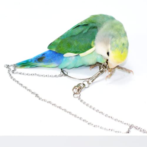 Bird Foot Chain Flying Stainless Steel Training Rope Outdoor Parrot Ankle Foot Ring Accessories Bird Harness Leash Prevent Escaping (8#) - size: 8#