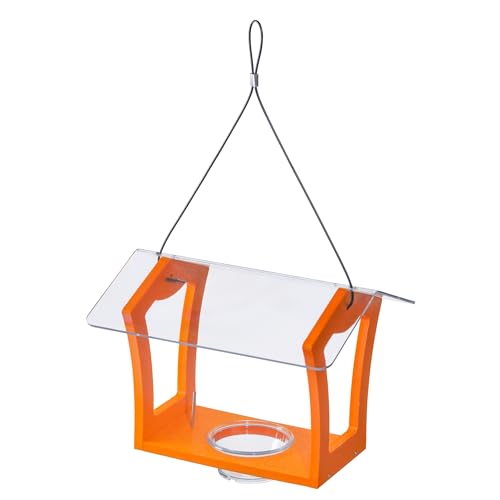Birds Choice Oriole Bird Feeder | Hanging Bird Feeder for Jelly & Orange Halves | Includes Cup & Fruit Pegs | Recycled Plastic | Sturdy for Garden, Backyard, & Outdoor | 3/4 Cup Capacity, Orange | Includes Jelly Cup and Fruit Pegs, Recycled Plastic, Sturd