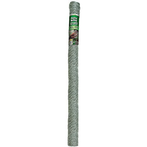 YARDGARD 2 Inch Poultry Netting, Chicken Wire Fence, 20 Gauge Galvanized Steel, Rabbit Fencing, Bird Enclosures, Garden Protection and Plant Support, 60 Inches x 50 Feet - size: 60 Inches x 50 Feet