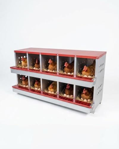 Chicken Nesting Box for Laying Eggs, 10-Compartment Galvanized Steel Nesting Boxes for Hens, Front Access Egg Tray, Easy Wall Mount Design, Includes 10 Training Eggs - color: Red
