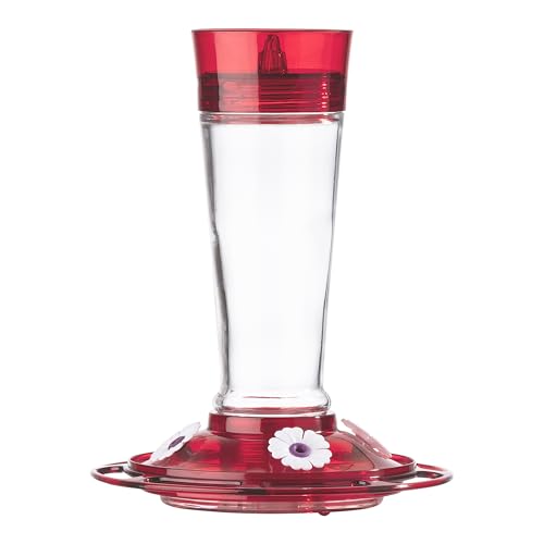 More Birds Bird Health+ Ruby Hummingbird Feeder, Glass Hummingbird Feeders for Outdoors, 4 Feeding Stations, 10 Ounces, Ruby Red
