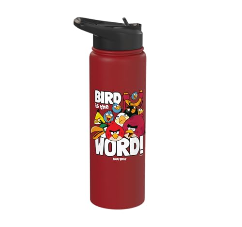 Angry Birds Group Bird is the Word Stainless Steel Insulated Water Bottle - color: Red