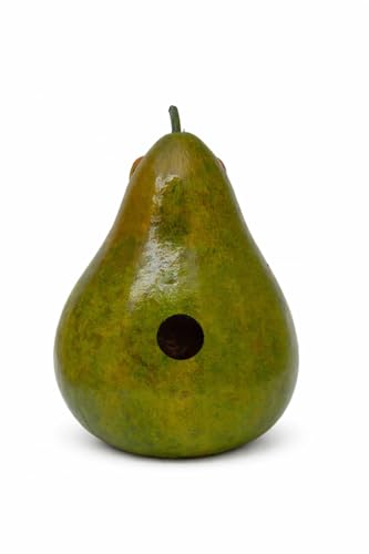Lime Green Gourd Birdhouse, 1.5" Entrance, Outdoor Hanging Birdhouse | Weather Resistant • Leather Hanging Strap • Drainage Holes
